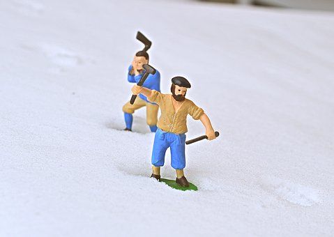 брадви - 20144 вида