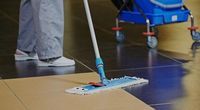 Cleaners Chelsea - 60111 prices