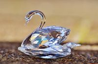 Swarovski - 54829 customers