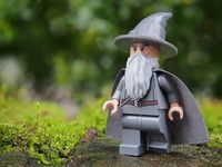 Lord Of The Rings - 76406 species