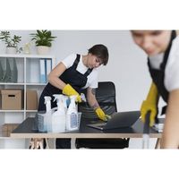 основно почистване - 67264 разновидности